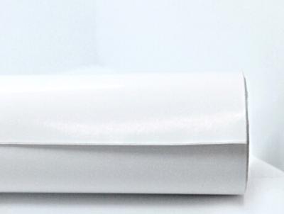 Semi Gloss Paper for Cold Store
