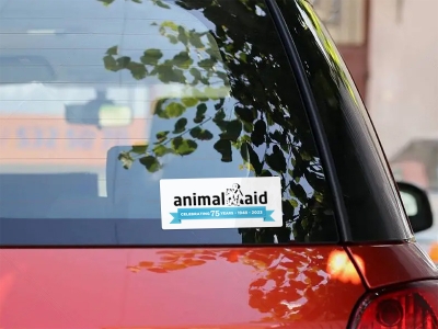 Car Window Stickers